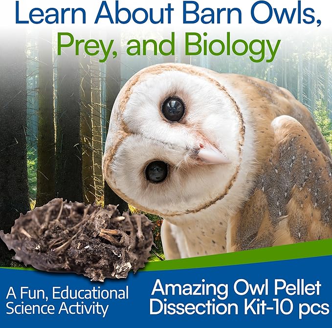 Amazing Owl Pellet Dissection Kit – 10 -Piece Owl Pellet Set for Science Lab Projects – w/Tweezers and Wooden Probes – Ideal for Fun Class Projects - Intended for Ages 15 & Older