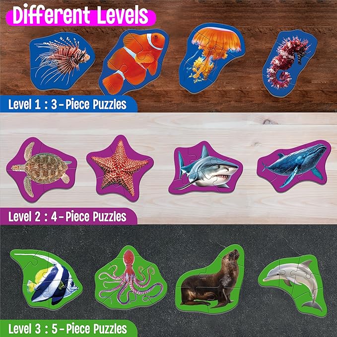 12 Pack Marine Animal Puzzles, 48 Pieces Step-by-Step Animal Jigsaws, Realistic Sea Animal Jigsaw Puzzles with Name Guide Early Learning for Beginner Preschool Toddlers 3+ Years Old