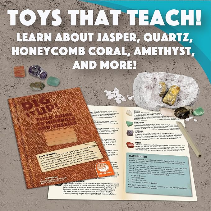 Dig It Up! Fossils & Minerals