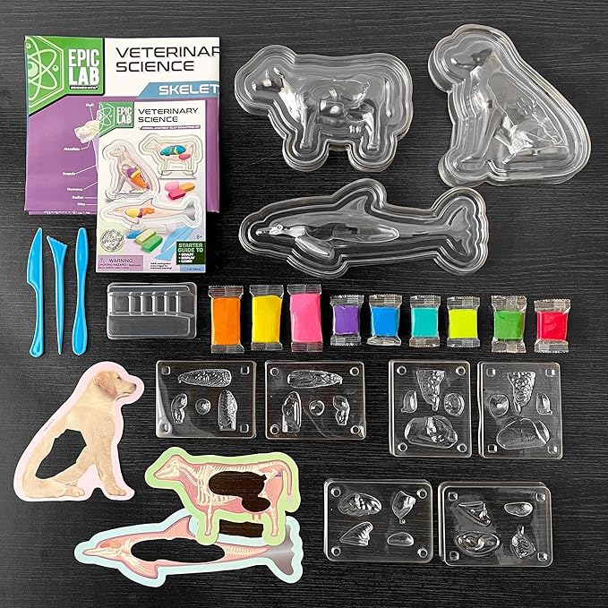 ArtSkills Epic Lab Vet Kit for Kids, Animal Anatomy Science Kit for Kids 8+ with Modeling Clay