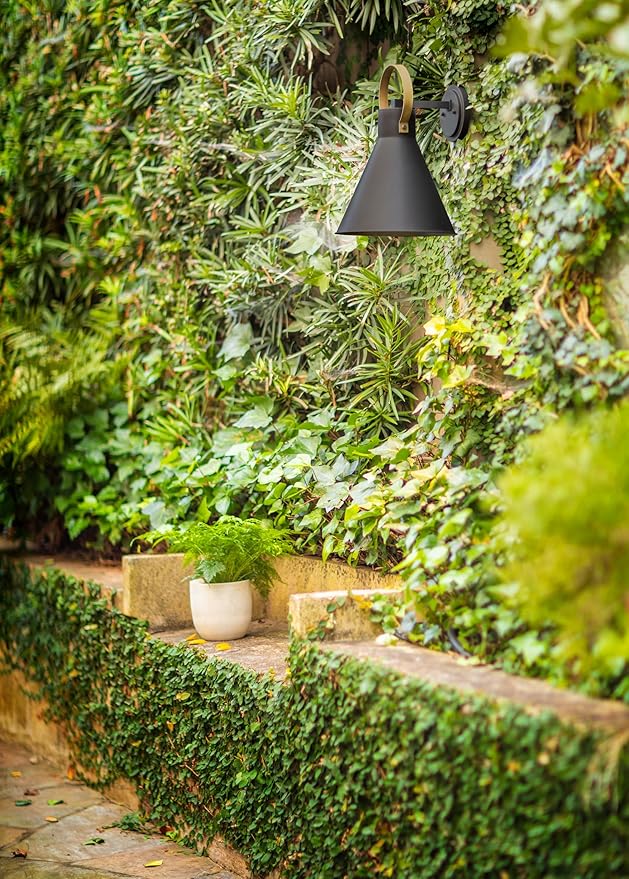 Hinkley Winnie Medium Wall Mount Outdoor Lantern - Coastal Elements, Dark Sky, 1-Light, Tapered Design, Bulb Included, Composite Material - Museum Black with Brass Accents