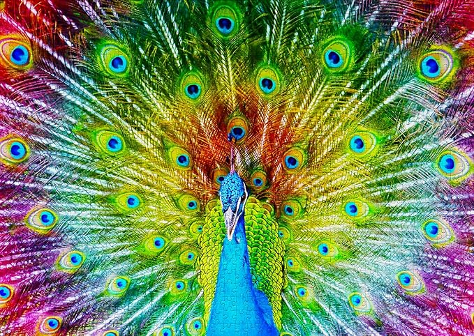 1000 Pieces Jigsaw Puzzle for Adults – Matte Finish, Soft Touch, Easy to Assemble, Tight Fit, Vivid Colors, Missing Pieces Service – Rainbow Gradient of Multicolor Peacock – by ENJOY Puzzle