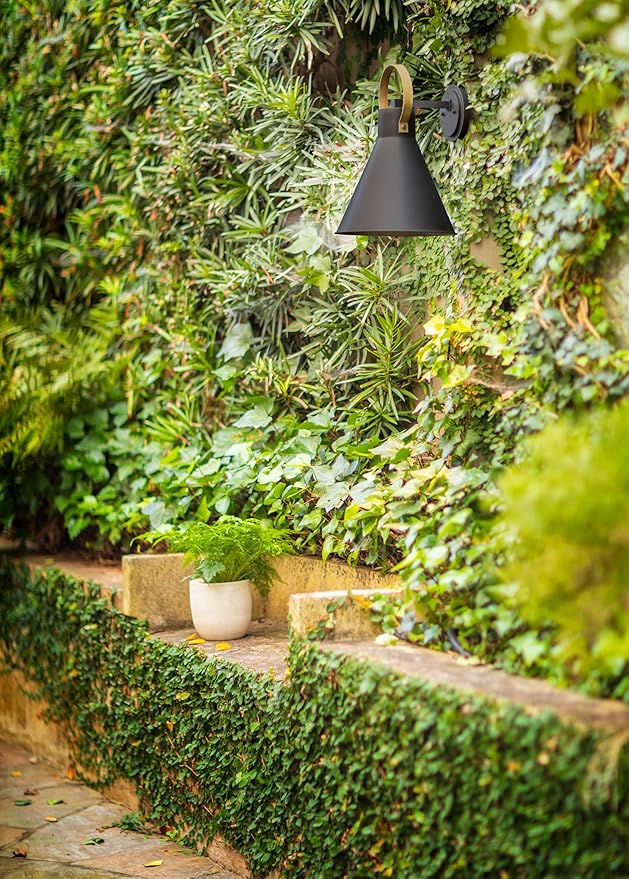 Hinkley Winnie Small Wall Mount Outdoor Lantern - Coastal Elements, Dark Sky, 1-Light, Tapered Design, Bulb Included, Composite Material - Museum Black with Brass Accents