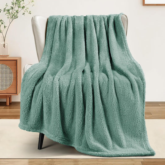 Exclusivo Mezcla Soft Fleece Throw Blanket for Couch, Super Soft Velvet Plush Bed Blanket, Fuzzy Cozy and Warm for All Seasons, 50x60 Inches, Celadon