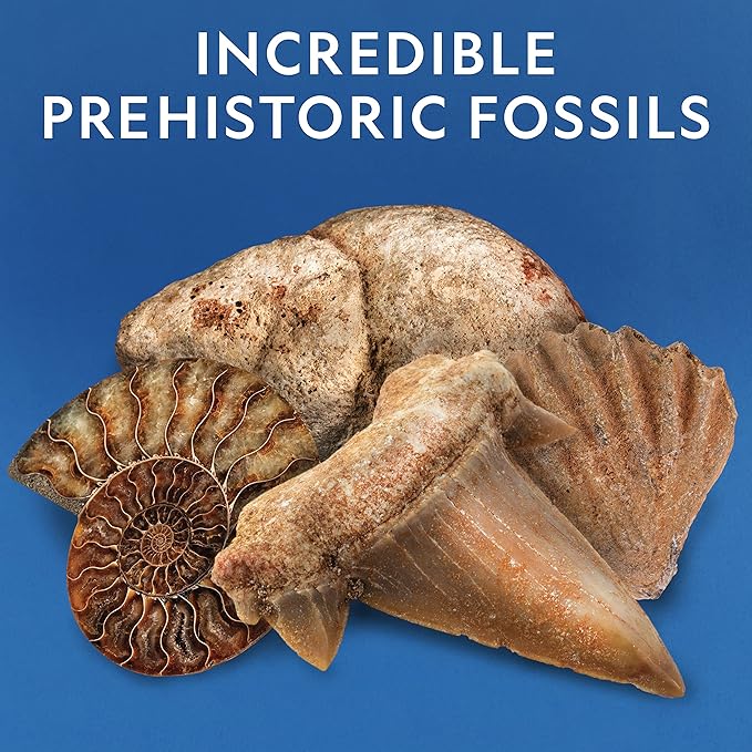 National Geographic Rock Collection Box for Kids – 300 Piece Rock Set with Real Fossils, Gemstones, and Crystals- Includes Absolute Expert: Rocks & Minerals Full-Color Book