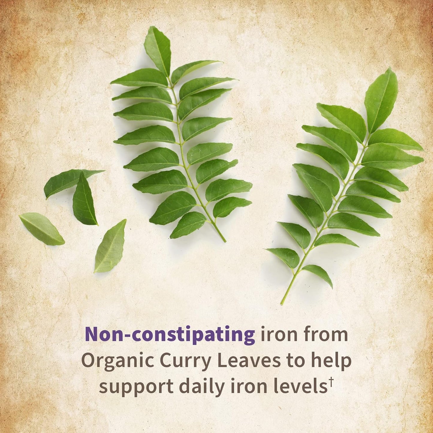 Garden of Life Prenatal Vitamins for Women, Organics Folate for Energy & Healthy Fetal Development, Non-constipating Iron, Vitamin C, B6, B12, D3, Non-GMO, Gluten-Free, Vegan, 90 Day Supply