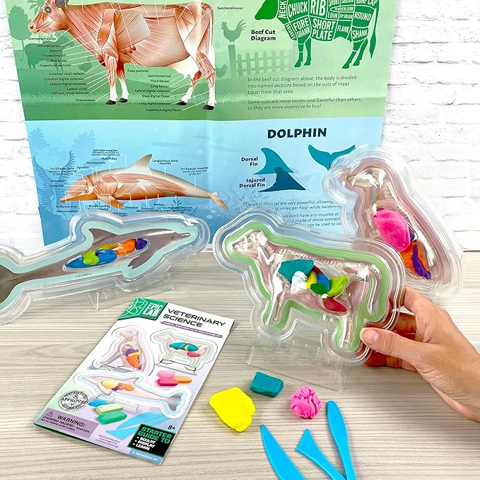 ArtSkills Epic Lab Vet Kit for Kids, Animal Anatomy Science Kit for Kids 8+ with Modeling Clay