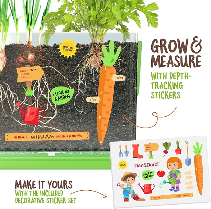 Dan&Darci Root Viewer Kit for Kids - Grow Your Own Plant for Boys & Girls Christmas Gifts - Science STEM Toy & Craft Growing Kits for Ages 4-8 Birthday Gifts for Boy, Girl 4, 5, 6, 7, 8, Year Old