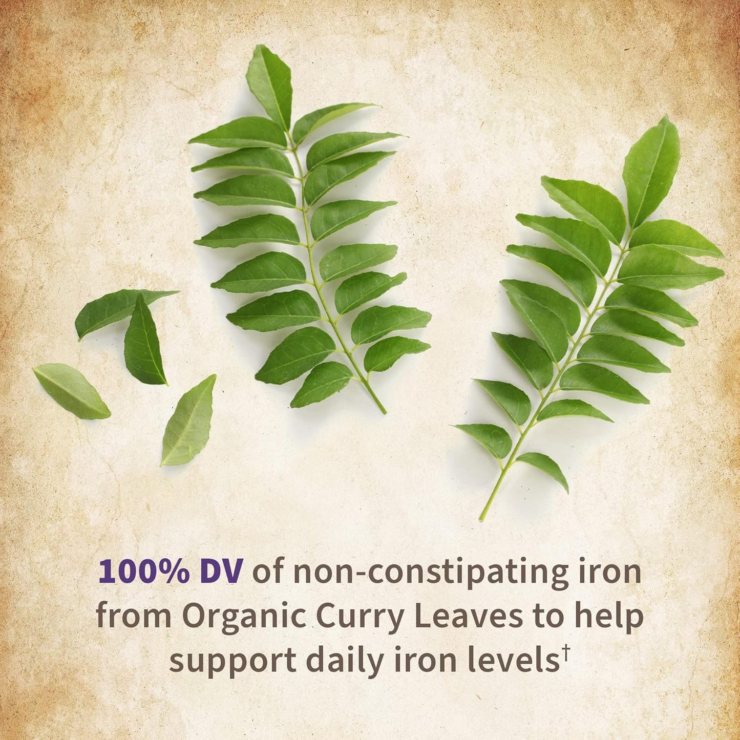 Garden of Life Prenatal Vitamins Organics Prenatal Multi - 90 Tablets, Vegan Whole Food Multivitamin, Folate not Folic Acid & Stomach Soothing Blend, Organic Prenatals Supplements for Women