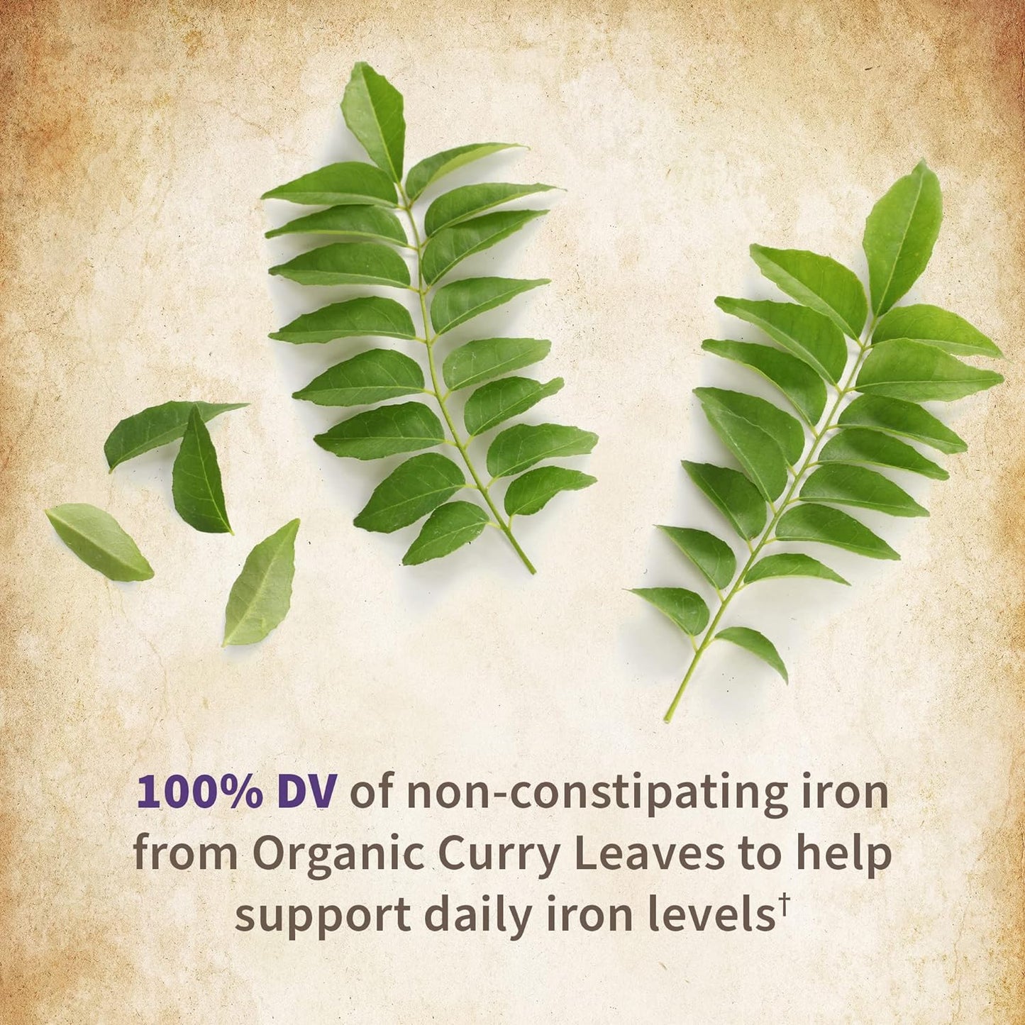 Garden of Life Organics Prenatal Vegan Whole Food Multivitamin Tablets, Folate not Folic Acid & Stomach Soothing Blend for Women, Peppermint, 180 Count