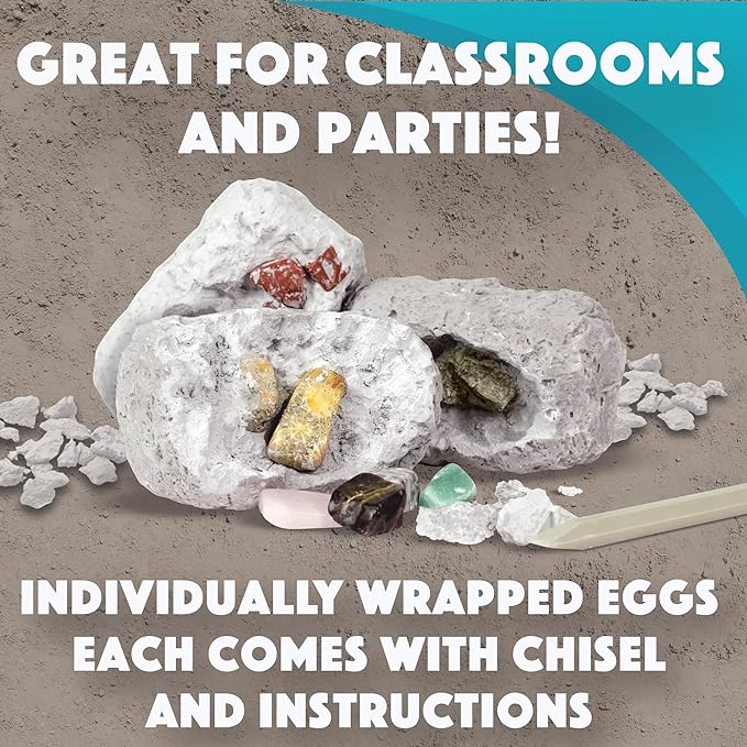 Dig It Up! Fossils & Minerals