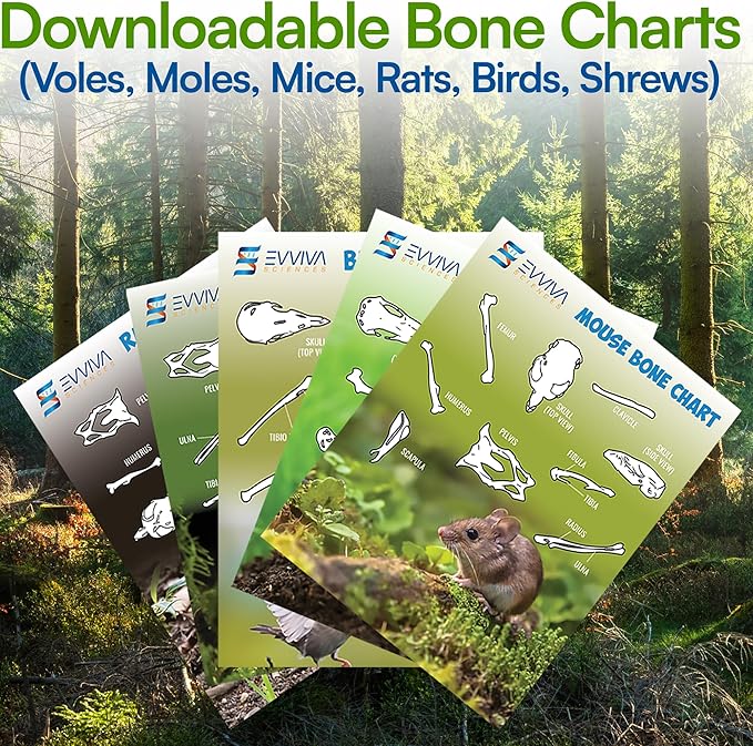 Amazing Owl Pellet Dissection Kit – 10 -Piece Owl Pellet Set for Science Lab Projects – w/Tweezers and Wooden Probes – Ideal for Fun Class Projects - Intended for Ages 15 & Older